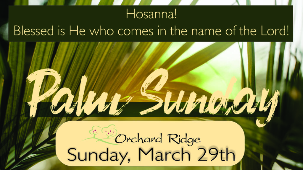 Palms Sunday
