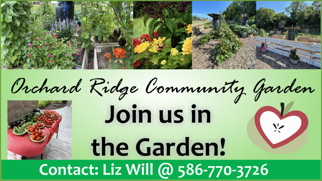 Orchard Ridge Community Garden